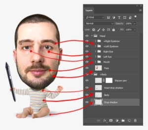 Time To Build Your Puppet Arrange And Name Your Psd - Character Animator Puppet Psd