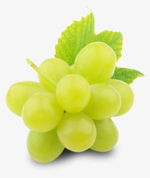 Green Grapes Png Free Download - Grapes For Export