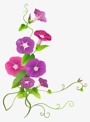 Ipomoea Flower Transparent Png Clip Art Image - Morning Glory Flower Transparent Background
