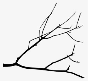 Free Png Simple Tree Branch Png Images Transparent - Drawing Of A Branch