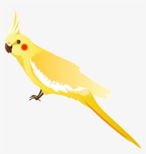 Yellow Parrot Png Clipart - Teth