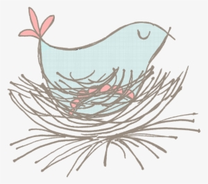 Chicken Bird Galliformes Drawing - Chicken