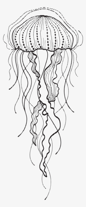 Negative drawing: Magic Jellyfish – Arte a Scuola