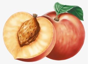 Peach Clipart Png