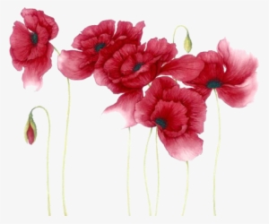 Red Watercolor Flowers Png