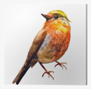 Cute Birds For Your Design - Water Colour Painting Bird Fly