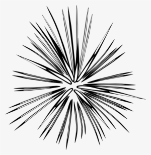 Blk-wht2 Firework Svg Clip Arts 582 X 599 Px