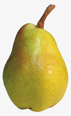Download Pear Png Image - Pear Png