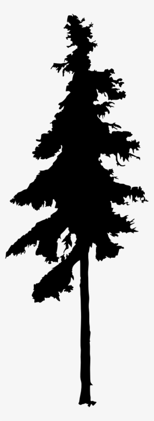 Free Download - Line Drawing Pine Tree