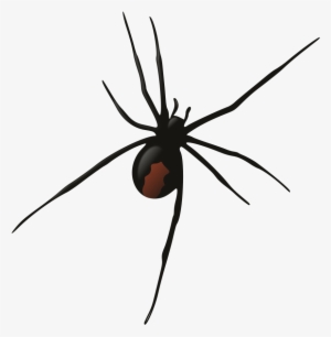 Female Redback Spider - Redback Spider Silhouette Png