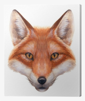 Red Fox Face