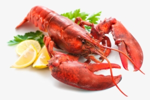 Graphic Library Library Lobster Transparent Png Peoplepng - Lobster Png