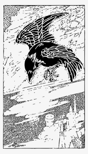Crow Bird Drawing - Raven Drawings