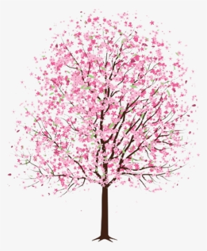 Art Tree Trees Pink Cherry Blossom Transparent Cherry - Cherry Blossom Tree Drawing