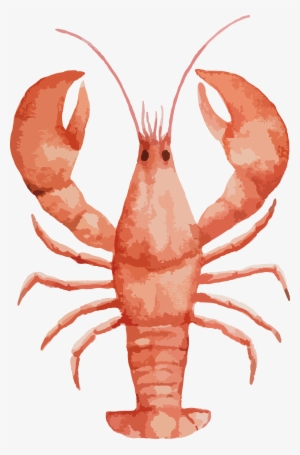 Painting Seafood Drawing Painted - Lobster Watercolor