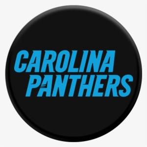 Carolina Panthers Logo - Carolina Panthers Outside House Banner