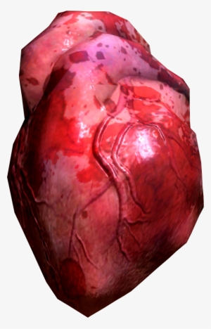 Human Heart - Human Heart Png