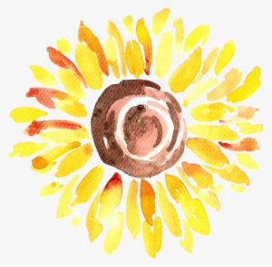 Art Transparent Watercolor Sunflower - Chenara Dodge