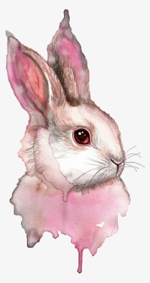 Graphic Black And White Library Pinterest Sketch Painting - Rabbit Drawing