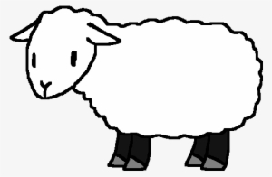 Sheep - Water