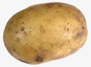 Vegetables - Potato Png