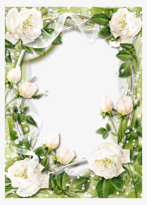 Rose Clip Art Black And White Border Images - White Roses Frame Png