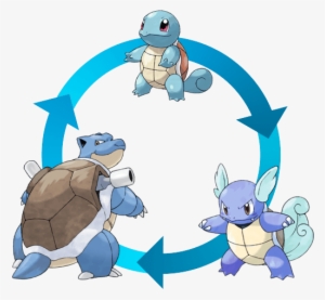 A Squirtle Becomes A Wartortle, A Wartortle Becomes - Pokemon Go Squirtle Evolutions