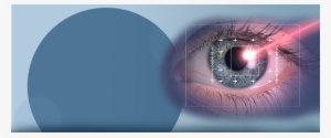 Findlay Optometry Clinic Inc-logo An Eye And Laser