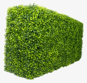 Box Hedge Png - Garden Hedge Png