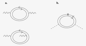 A) A One Loop Diagram, Drawn In Double Line Notation, - Circle