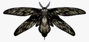 Giant Moth - Black Moth With Stinger
