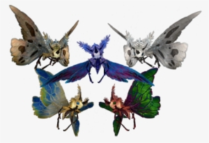 A Group Of Various Moths - World Of Warcraft Moth