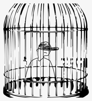 Batting Cage