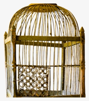 Man In A Golden Cage - Vintage Cage Png
