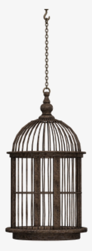 Cage Bird Cage Closed Container Braid Chai - Hanging Bird Cage Black
