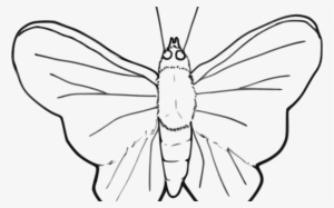 Butterfly X Carwad Net - Black White Clipart Png Moth
