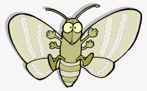 Moth Png Picture - Cartoon Moth