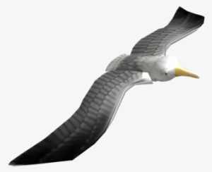 Seagull Friend - Roblox Seagull