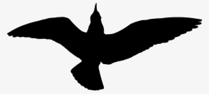 This Free Icons Png Design Of Seagull Silhouette