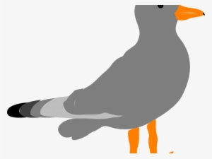 Seagull Clipart Vector - Clip Art Gull