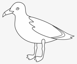 Seagull on a Post Bird Clipart Instant Digital Download SVG EPS PNG pdf ai dxf jpg Cut Files for Commercial Use