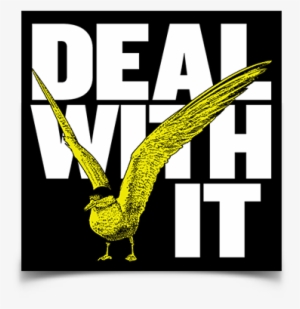 Deal With It Seagull Sticker - Bird