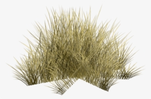 Grass2 - Desert