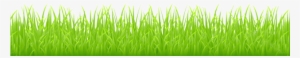 For This Example I Will Use This - Cartoon Grass No Background