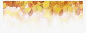 Fall-leaves - Autumn