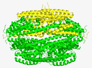 Protein Data Bank On Twitter - Illustration