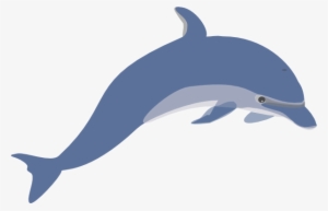 Dolphin 3 Clip Art - Dolphin Clipart Png