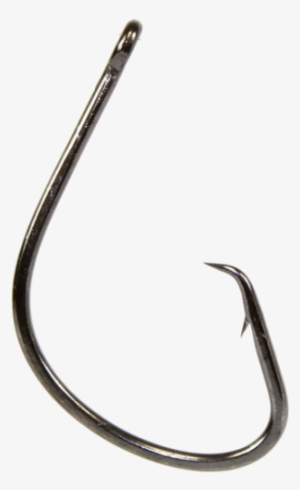 Sport Circle Hooks