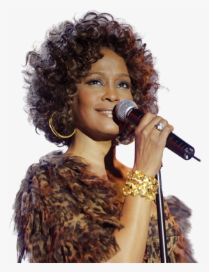 Whitney Houston Pre Grammy 2009