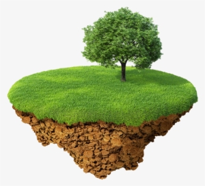 Free Moss Png Svg Freeuse